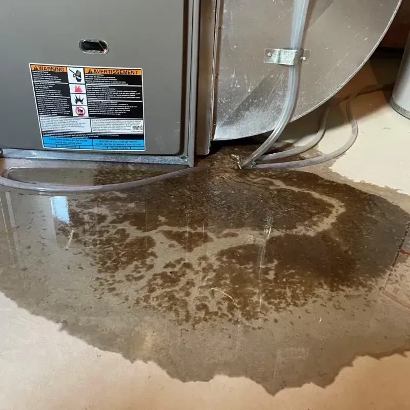 Appliance Leak Cleanup in Red Chute, LA